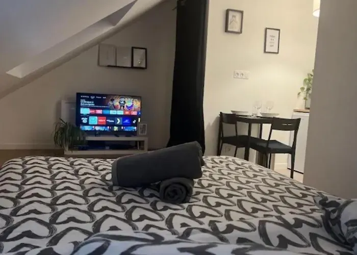 Soh Rent Strasbourg Studio 2 Tv- Wifi Proche Gare